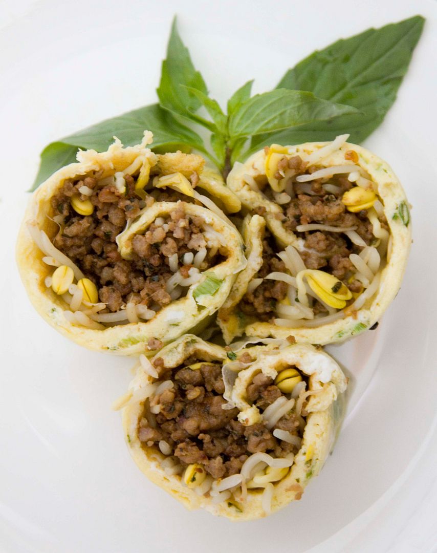 Food Makes Me Happy Egg Rolls with Bean Sprouts and Your Favorite Type